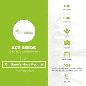 Oldtimer's Haze Regular (Ace Seeds) - The Cannabis Seedbank
