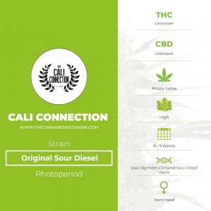Original Sour Diesel (Cali Connection) - The Cannabis Seedbank