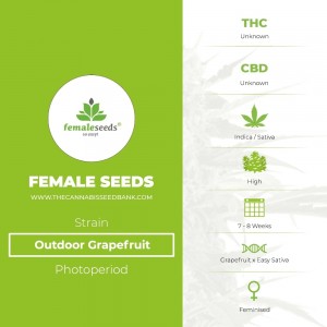 Outdoor Grapefruit (Female Seeds) - The Cannabis Seedbank