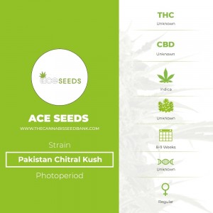 Pakistan Chitral Kush Regular (Ace Seeds) - The Cannabis Seedbank