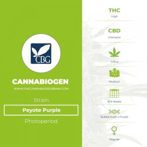Peyote Purple Regular (Cannabiogen) - The Cannabis Seedbank