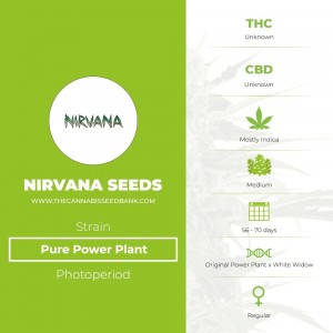 Pure Power Plant Regular (Nirvana Seeds) - The Cannabis Seedbank