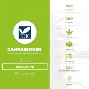 Sandstorm Regular (Cannabiogen) - The Cannabis Seedbank