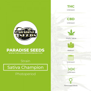 Sativa Champion - Feminised - Paradise Seeds - Characteristics