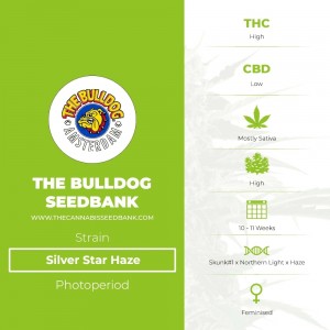 Silver Star Haze (The Bulldog Seedbank) - The Cannabis Seedbank