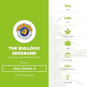 Sour Diesel (The Bulldog Seedbank) - The Cannabis Seedbank