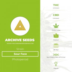 Sour Face Regular (Archive Seeds) - The Cannabis Seedbank