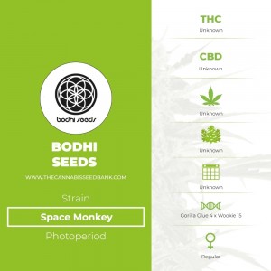 Space Monkey Regular (Bodhi Seeds) - The Cannabis Seedbank