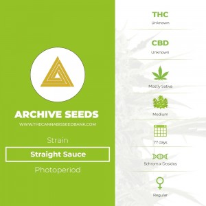 Straight Sauce Regular (Archive Seeds) - The Cannabis Seedbank