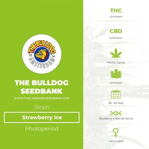 Strawberry Ice (The Bulldog Seedbank) - The Cannabis Seedbank