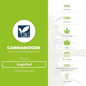 Sugarloaf (Cannabiogen) - The Cannabis Seedbank