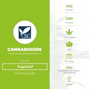 Sugarloaf Regular (Cannabiogen) - The Cannabis Seedbank