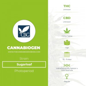 Sugarloaf Regular (Cannabiogen) - The Cannabis Seedbank