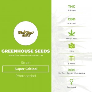 Super Critical (Greenhouse Seed Co.) - The Cannabis Seedbank