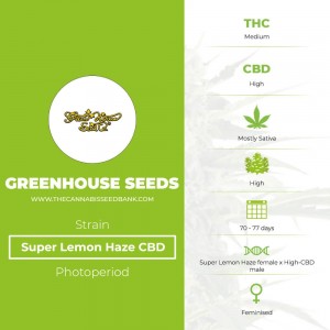 Super Lemon Haze CBD (Greenhouse Seed Co.) - The Cannabis Seedbank