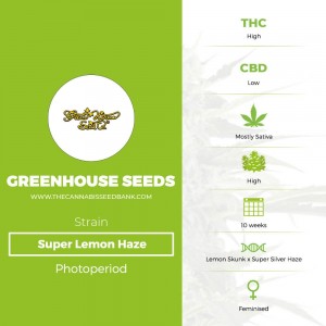Super Lemon Haze (Greenhouse Seed Co.) - The Cannabis Seedbank