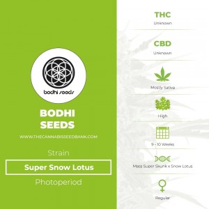 Super Snow Lotus Regular (Bodhi Seeds) - The Cannabis Seedbank