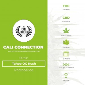 Tahoe OG Kush Regular (Cali Connection) - The Cannabis Seedbank