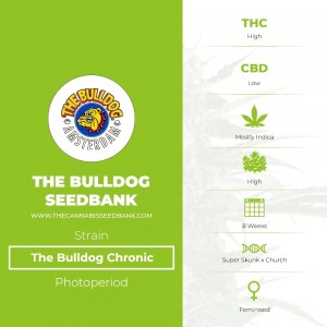 The Bulldog Chronic (The Bulldog Seedbank) - The Cannabis Seedbank