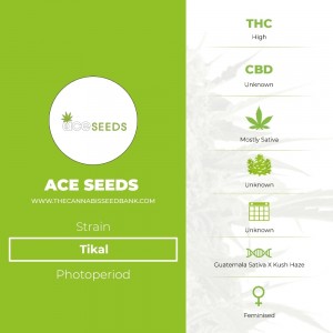 Tikal (Ace Seeds) - The Cannabis Seedbank