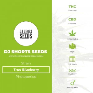 True Blueberry Regular (DJ Short) - The Cannabis Seedbank