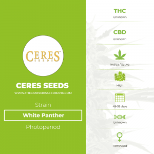 White Panther (Ceres Seeds) - The Cannabis Seedbank