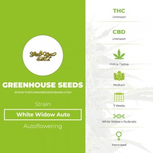 White Widow Auto (Greenhouse Seed Co.) - The Cannabis Seedbank