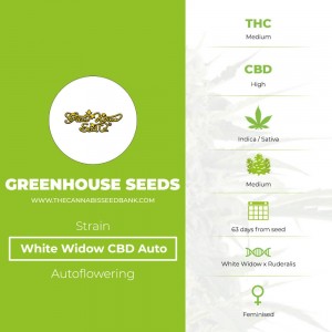White Widow CBD Auto (Greenhouse Seed Co.) - The Cannabis Seedbank