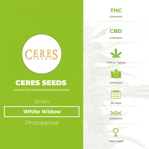 White Widow (Ceres Seeds) - The Cannabis Seedbank