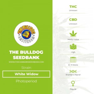 White Widow Regular (The Bulldog Seedbank) - The Cannabis Seedbank