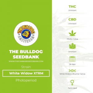 White Widow XTRM (The Bulldog Seedbank) - The Cannabis Seedbank