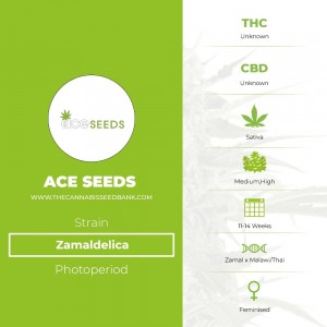 Zamaldelica (Ace Seeds) - The Cannabis Seedbank