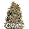 00 Skunk (00 Seeds) - The Cannabis Seedbank