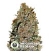 Female Collection #4 (00 Seeds) - The Cannabis Seedbank