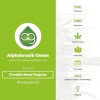 Cheddarhead Regular (Alphakronik Genes) - The Cannabis Seedbank