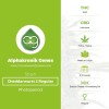 Cheddarwurst 2 Regular (Alphakronik Genes) - The Cannabis Seedbank