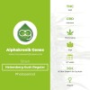 Heisenberg Kush Regular (Alphakronik Genes) - The Cannabis Seedbank