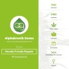 Nevada Privada Regular (Alphakronik Genes) - The Cannabis Seedbank