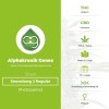 Snowdawg 2 Regular (Alphakronik Genes) - The Cannabis Seedbank
