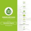 Snowdizzle Regular (Alphakronik Genes) - The Cannabis Seedbank