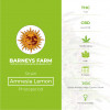 Amnesia Lemon Feminised Barney's Farm Seeds - Characteristics
