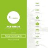 Bangi Haze Regular (Ace Seeds) - The Cannabis Seedbank