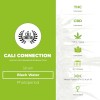 Black Water (Cali Connection) - The Cannabis Seedbank