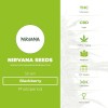 Blackberry (Nirvana Seeds) - The Cannabis Seedbank