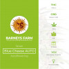 Blue Cheese AUTO Feminised Barney's Farm Seeds