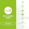 Blue Mystic (Royal Queen Seeds) - The Cannabis Seedbank