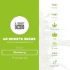 Blueberry Regular (DJ Short) - The Cannabis Seedbank
