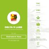 Brainstorm Haze Regular (Delta 9 Labs) - The Cannabis Seedbank