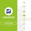 Bubba Delight Regular (Cannabiogen) - The Cannabis Seedbank