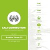 Buddha Tahoe OG (Cali Connection) - The Cannabis Seedbank